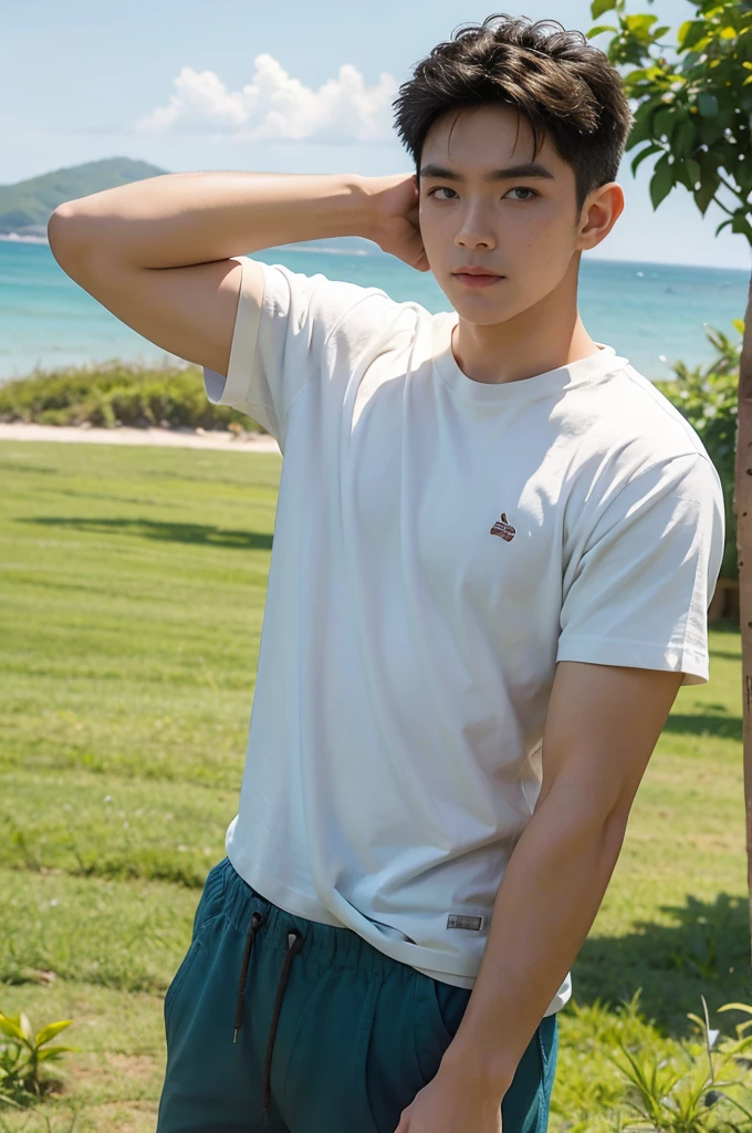 A handsome, muscular young Asian man looks at the camera. In a plain white t-shirt , Fieldside, grass, beach, sunlight