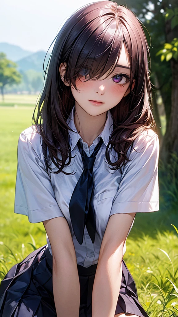 (masterpiece:1.2, top-quality), (realistic, photorealistic:1.4), beautiful illustration, (natural side lighting, movie lighting), nsfw,
looking at viewer, face focus, upper body, 1 girl, japanese, high school girl, perfect face, cute and symmetrical face, shiny skin,
(long hair:1.5, straight hair:1.4, dark purple hair), hair over one eye, dark purple, long eye lasher, (large breasts, seductive thighs, big ass), nipple hardening, slender,
beautiful hair, beautiful face, beautiful detailed eyes, beautiful clavicle, beautiful body, beautiful chest, beautiful thigh, beautiful legs, beautiful fingers,
((detailed cloth texture, short sleeves white collared shirts, navy pleated mini skirt), black tie),
(beautiful scenery), A girl is on all fours in a grassy field. She is carrying a large dog on her back and mating in the rear position.
Her face is bright red and flushed, with an embarrassed expression on her face.
She is wearing a very short skirt.