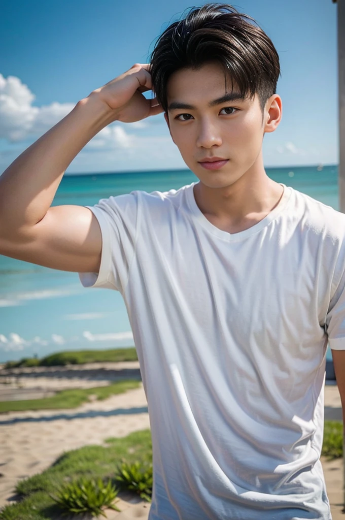 A handsome, muscular young Asian man looks at the camera. In a plain white t-shirt , Fieldside, grass, beach, sunlight