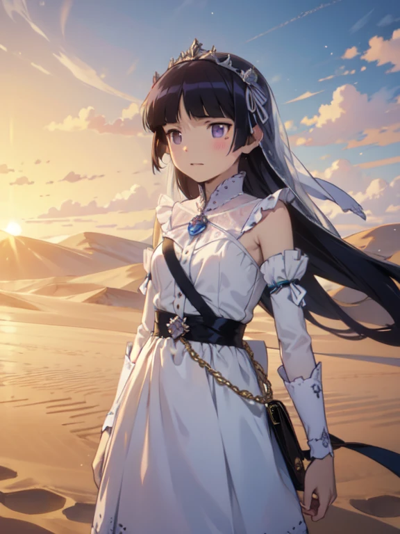 (masterpiece, Highest quality:1.1), (Desert Princess), 1 Girl, alone, Gold embroidery, satin, Veil, gem, tiara, Arabian Style, Desert Landscape, carpet, Hair blowing in the wind, Shining, Sunset, oasis, silk, Sparkling Eyes, Sand Dunes