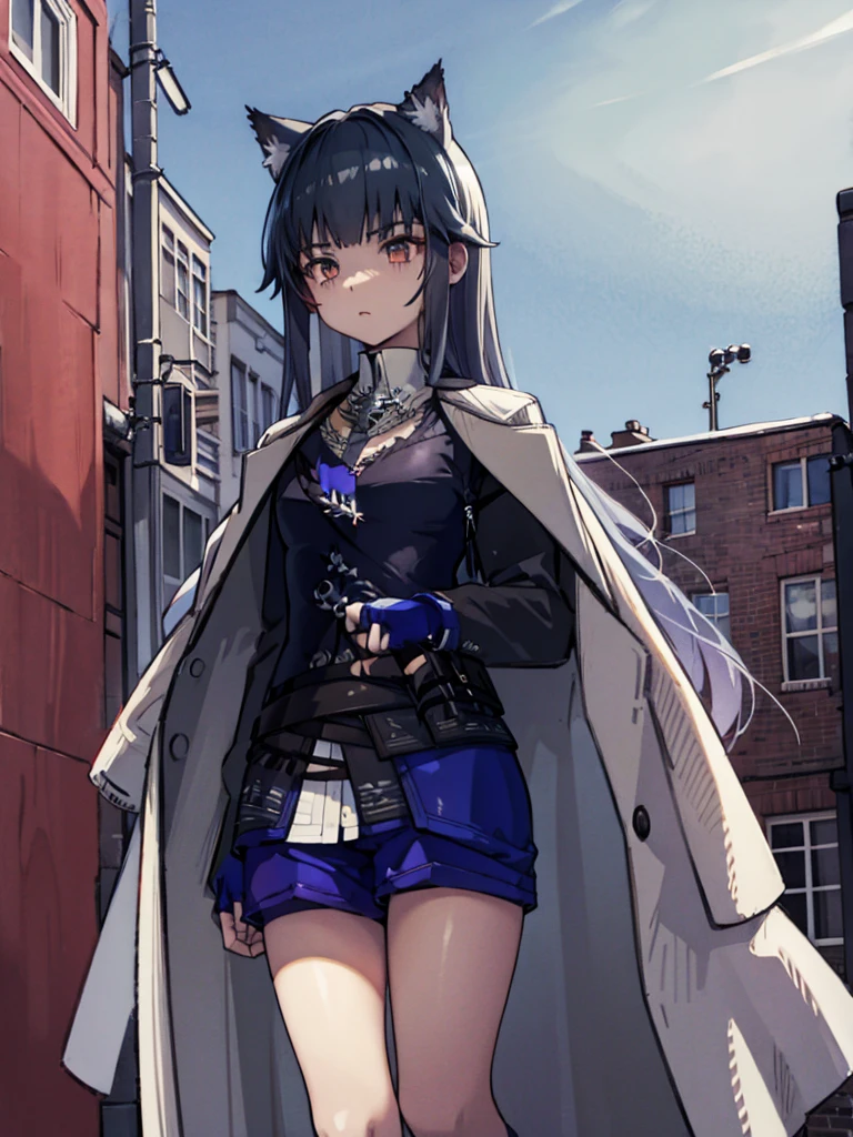 White silk knee socks,Short skirt,Boots,Lining,coat,White hair,A cat lady,Loli,small headdress,White, light blue, light pink,Standing