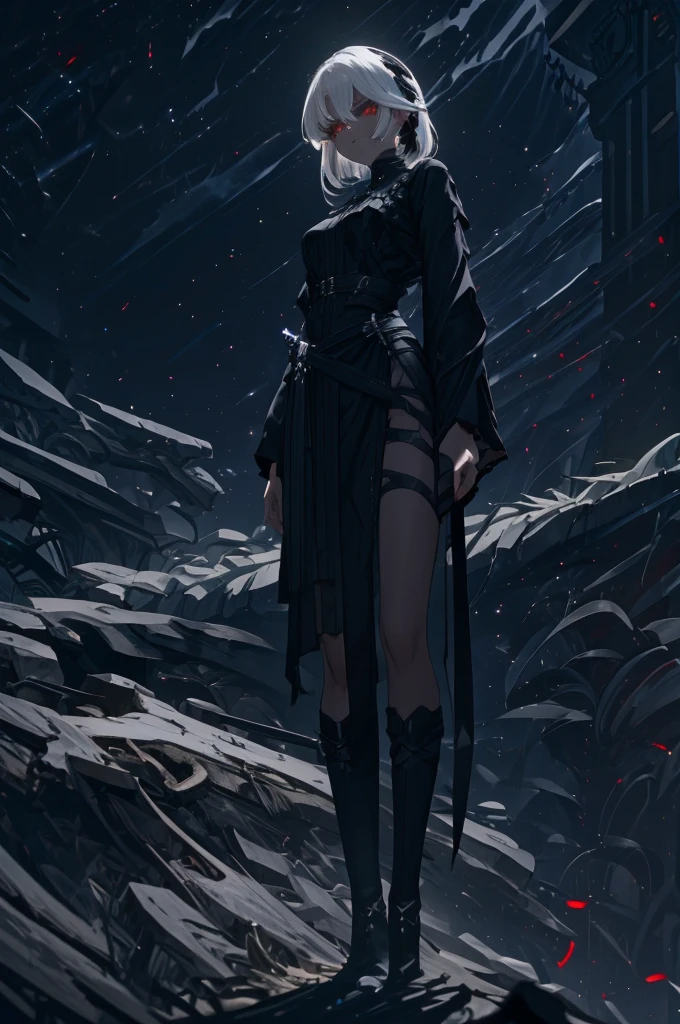 Girl, 20 years old, with long white hair down to below her waist, a serious yet tender expression, and red eyes. Her hair features black streaks. She wears antique-style clothing, a long black dress with a slit on the legs, and high black boots that almost reach her knees. Her power and background are related to shadows and darkness.