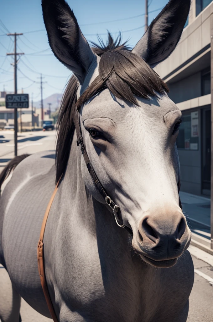 A little gray donkey in GTA 5