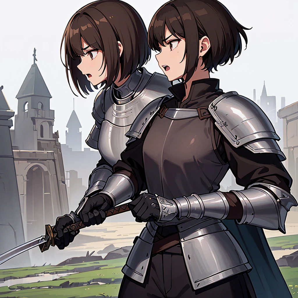 Best illustrations、Best Quality、(((Simple grey armor、Black trousers、Black gloves、Short Hair、Brown Hair、20 women)))、(((Grab the sword、Get Ready)))、(Old ruins、desert。Grass)、Fall to the floor、(Black, muddy swamp)、(仮面の中世の騎士が10 people)、(get annoyed、Open your mouth、Get angry)、(lots of medieval knights、10 people)、battlefield、(From the side、profile)、(White background)