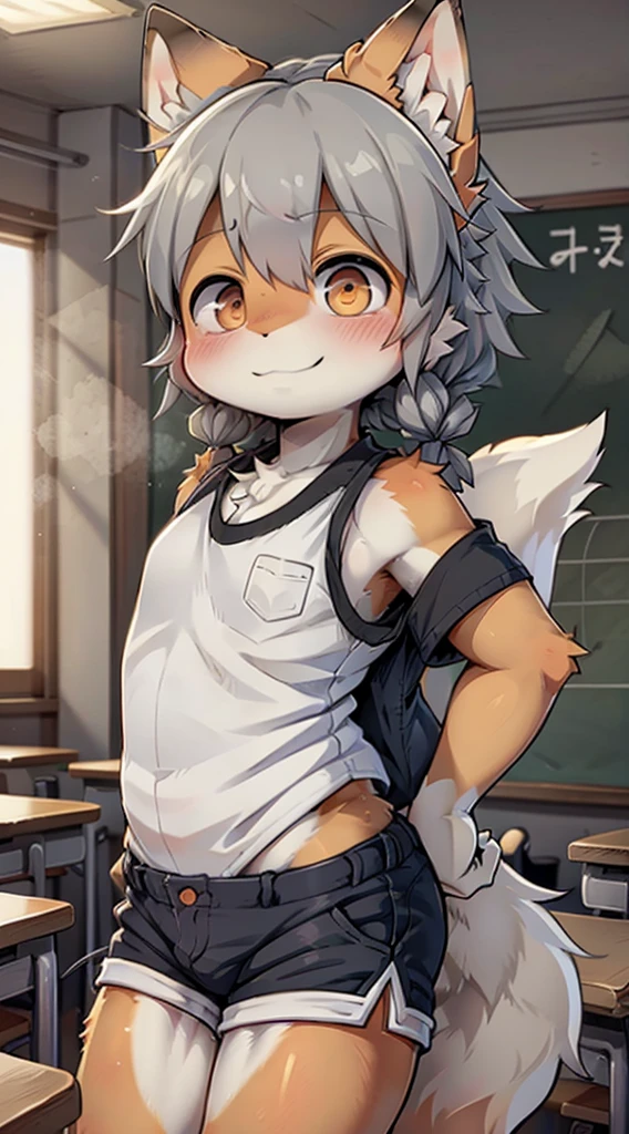 Japanese style high school shirt，cute男孩子，Gentle smile，shota，Anthropomorphic Fox，Fox Girl，小braid，braid，cute，Gray hair，全身Gray hair，全身Gray hair，Japanese school uniform shirt，shorts，shorts，Short boy，Slim figure，Classroom Background，Indoor background，Campus style，Young taming