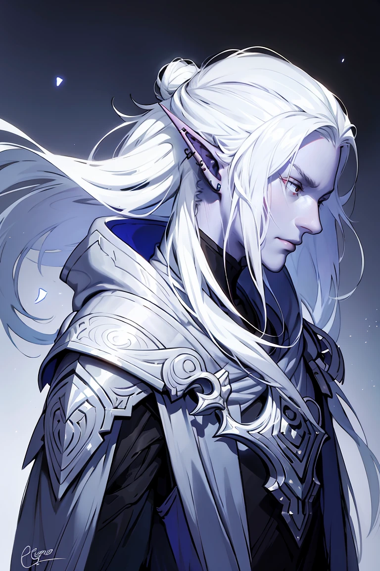 drow,white hair with purple low-ombre dye, male, pointy ears, solo, Calm slightly smile, elf, long hair, colored skin, white hair, blue grey skin, jewelry, earrings, bun hair, long hair, adventuring clothes, profile, upper body, from side, signature, piercing, artist name, ear piercing, nose, lipasterpiece, best quality)), art by greg rutkowski