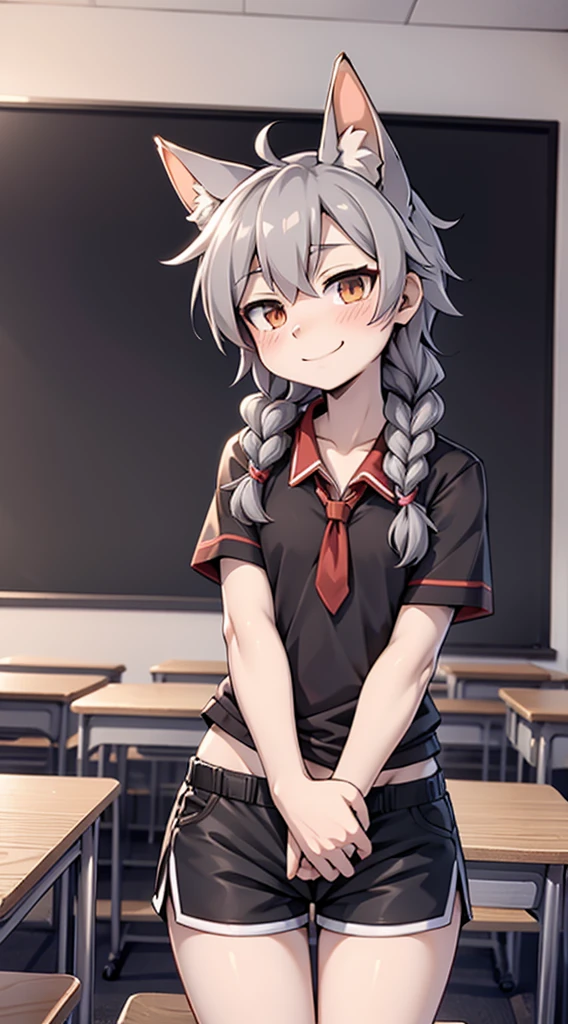 Japanese style high school shirt，cute男孩子，Gentle smile，shota，Anthropomorphic Fox，Fox Girl，小braid，braid，cute，Gray hair，全身Gray hair，全身Gray hair，Japanese school uniform shirt，shorts，shorts，Short boy，Slim figure，Classroom Background，Indoor background，Campus style，Young taming，Q version style，American anime style