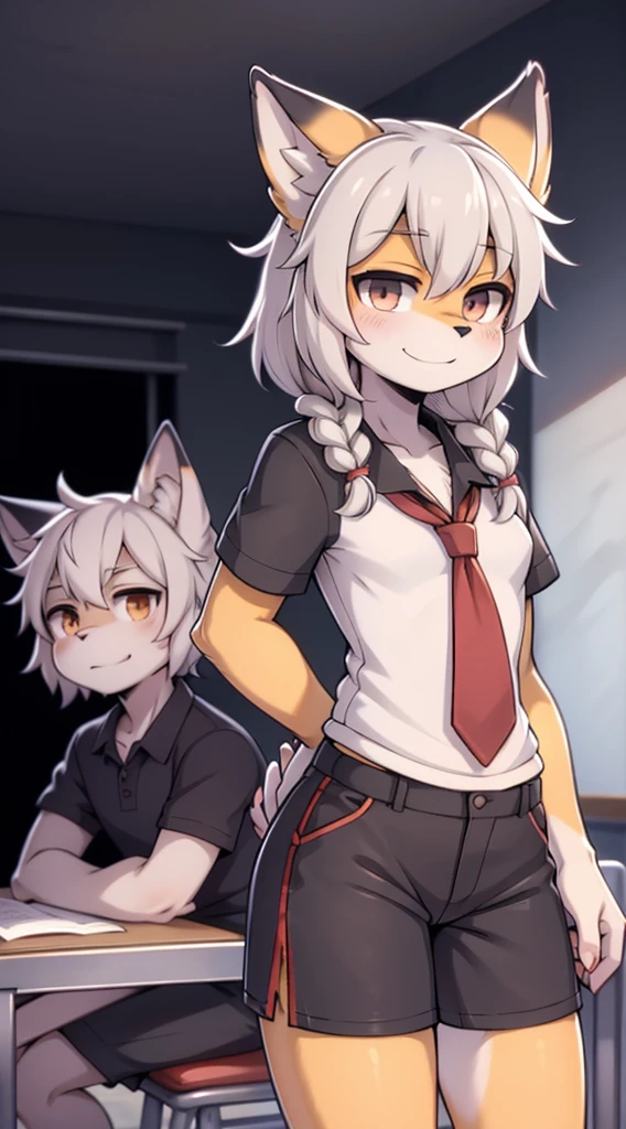 Japanese style high school shirt，cute男孩子，furry，furry，hairy，furry，hairy，furry，Body hair，Hair covers the whole body，Gentle smile，shota，Anthropomorphic Fox，Fox Girl，小braid，braid，cute，Gray hair，全身Gray hair，全身Gray hair，Japanese school uniform shirt，shorts，shorts，Short boy，Slim figure，Classroom Background，Indoor background，Campus style，Young taming，Q version style，American anime style，femboy，femboy，Oval face