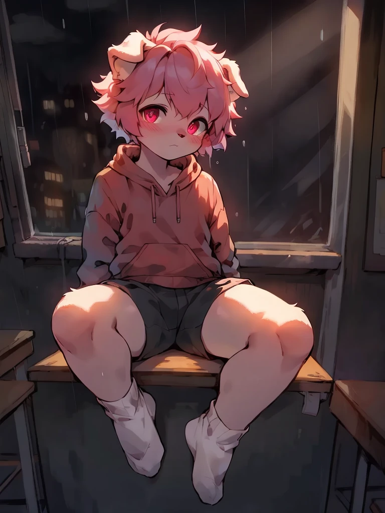 boy，，Slightly plump figure，Pink-haired dog，Wear a light reddish pink sweatshirt and white shorts, No shoes，Wearing regular white socks，Sitting in the last row of the classroom, Looking out the window，it is raining outside the window，Boy has a strong sexual desire， （Delicate eyes and delicate face） , blush , （Perfect anatomical structure）