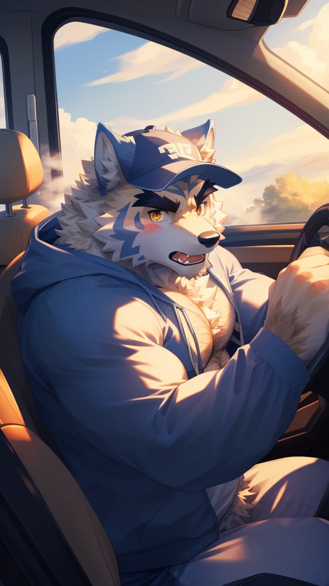 (Vision:1.5), solitary, anthropology, hairy, hairy male, Wolf, ((Fluffy fur, Fluffy, hairy body)), (wolf print), (Thick eyebrows), youth, muscular, White pectoral muscles, White fur, Golden pupils, Detailed teeth, defaced face, fundos, driver, Blue Plaid Hoodie, Baseball cap, cab里, Driving, sideways, Serious expression, blush, (Dynamic poses:1.5), Clear facial features, Strong, majestic, alone, panoramic, Fog atmosphere, early morning, Tyndall Light Effect, cab, Sunlight through the car window, (By Empty Ghost, From wolf20, masterpiece, high quality, high resolution,8K)