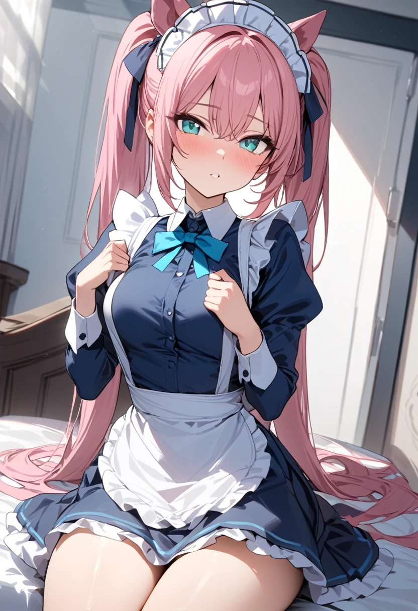(masterpiece, best quality, high resolution), 1girl, solo, pink hair, pony tails,
aqua eyes, maid costume, blue clothes.