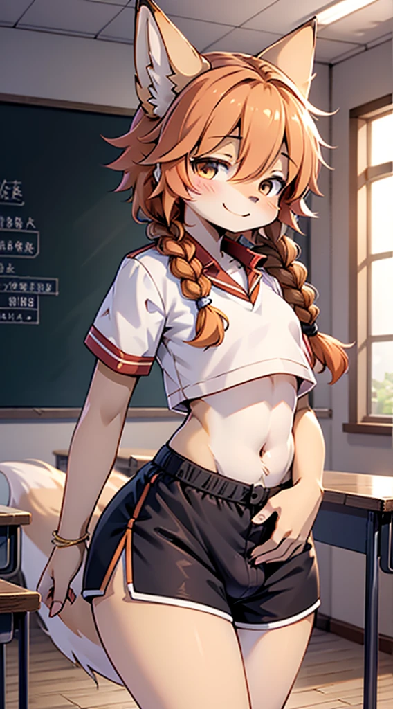 Japanese style high school shirt，cute男孩子，furry，furry，hairy，furry，hairy，furry，Body hair，Hair covers the whole body，Gentle smile，shota，Anthropomorphic Fox，Fox Girl，小braid，braid，Youthful feeling，Close-up above the waist，Hip bulge，Bulge between the thighs，Hip bulge，cute，Orange hair，Orange hair all over body，全身Orange hair，Japanese school uniform shirt，shorts，shorts，Big butt，Petite figure，Thin waist，Slim figure，Classroom Background，Indoor background，Campus style，individual，individual，individual，Q version style，American anime style，femboy，femboy，Oval face