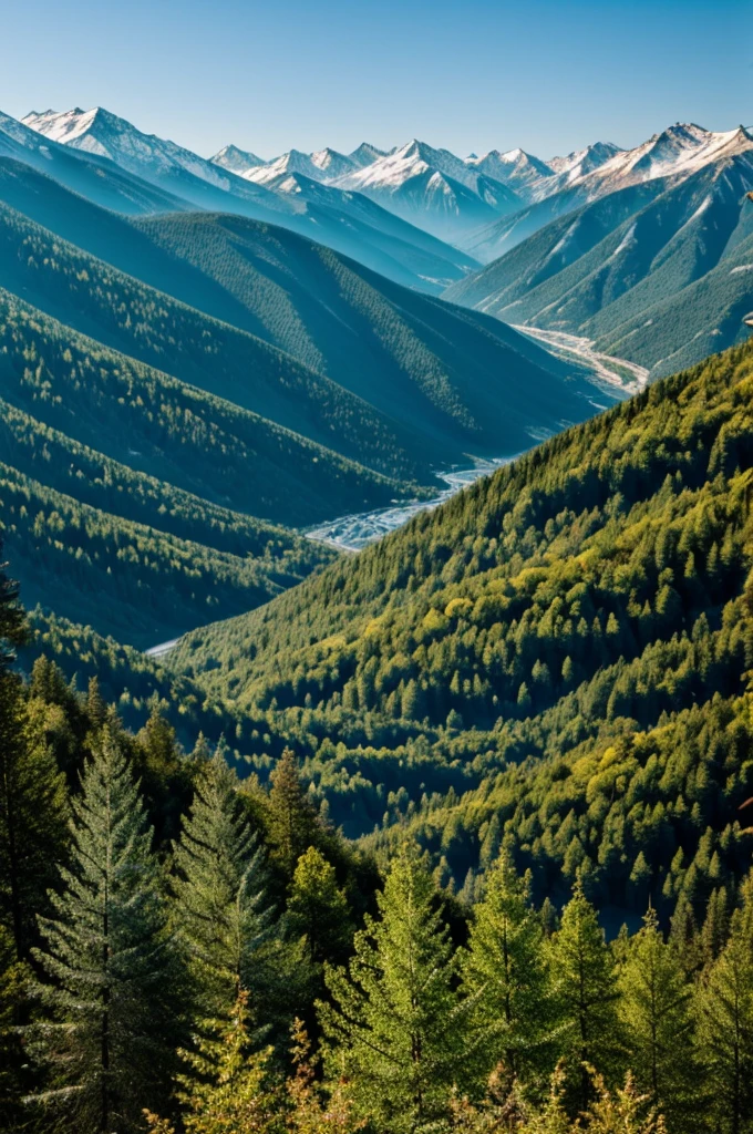 The trees of the mountains and hills
