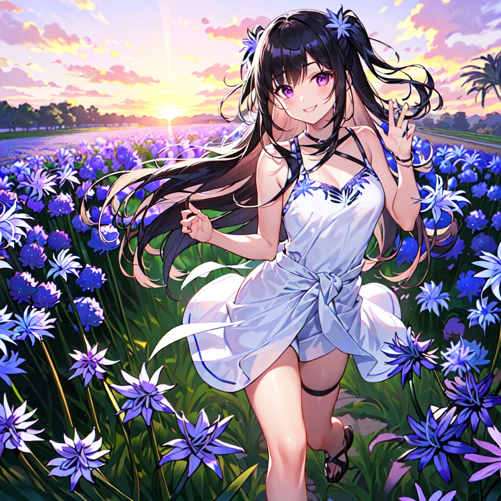 masterpiece, best quality, high quality, extremely detailed, very delicate and beautiful, (1 female 18 years old solo:1.5), (long black hair up to waist with two side up:1.5), bangs to eyebrows, eyes Eyebrows glossy, (eye color magenta:1.3), 6.5 head height, (agapanthus flower print summer fashion:1.3), knee socks, lace, frills, (smiling), (running:1.3), (smiling), (dynamic pose), (background agapanthus flower field:1.3), (sunset:1.3)