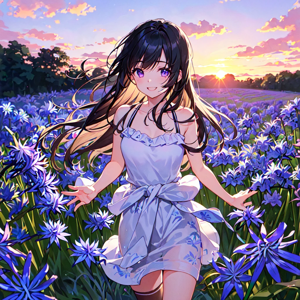 masterpiece, best quality, high quality, extremely detailed, very delicate and beautiful, (1 female 18 years old solo:1.5), (long black hair up to waist with two side up:1.5), bangs to eyebrows, eyes Eyebrows glossy, (eye color magenta:1.3), 6.5 head height, (agapanthus flower print summer fashion:1.3), knee socks, lace, frills, (smiling), (running:1.3), (smiling), (dynamic pose), (background agapanthus flower field:1.3), (sunset:1.3), (upper body:1.3)