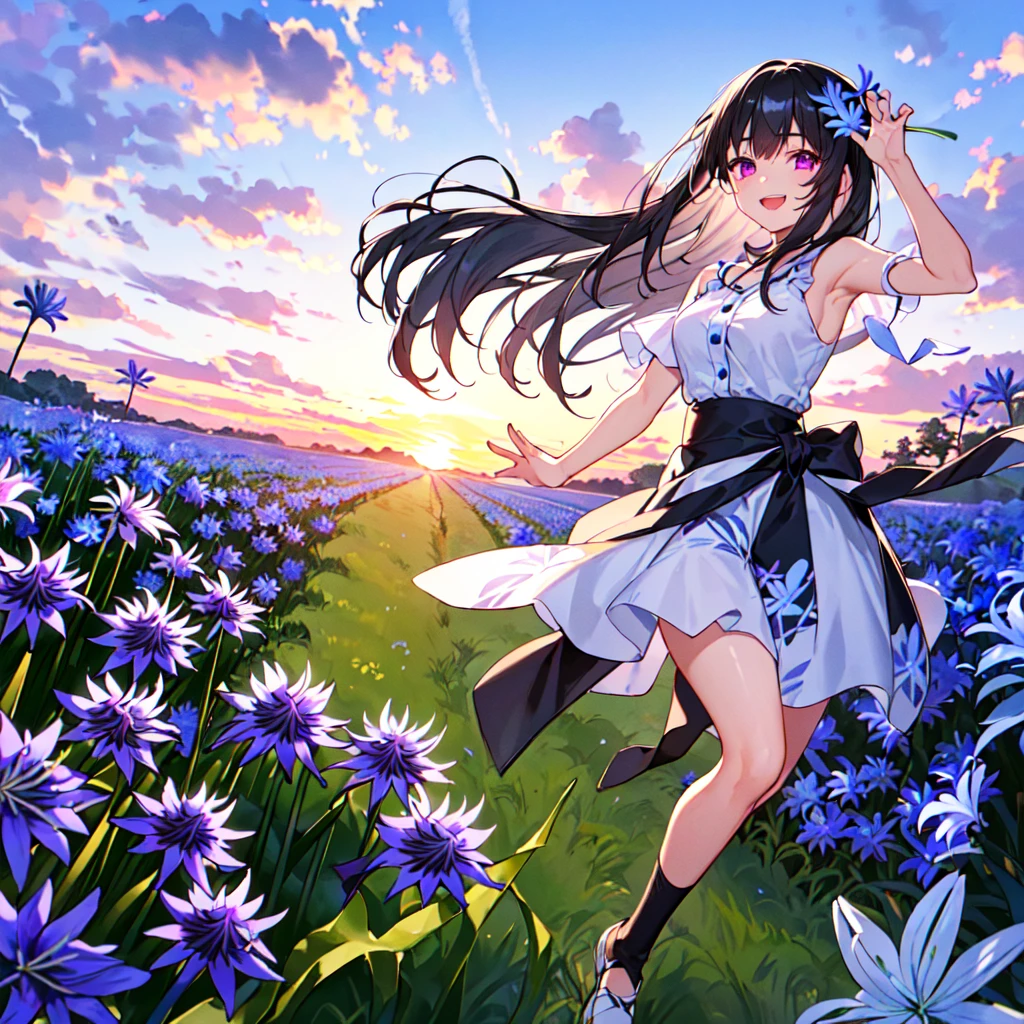 masterpiece, best quality, high quality, extremely detailed, very delicate and beautiful, (1 female 18 years old solo:1.5), (long black hair up to waist with two side up:1.5), bangs to eyebrows, eyes Eyebrows glossy, (eye color magenta:1.3), 6.5 head height, (agapanthus flower print summer fashion:1.3), knee socks, lace, frills, (smiling), (running:1.3), (smiling), (dynamic pose), (background agapanthus flower field:1.3), (sunset:1.3)