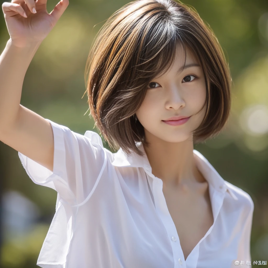 ((Highest quality、In 8K、masterpiece:1.3))、Sharp focus:1.2、Beautiful woman perfect body:1.4、Slim Abs:1.2、((Short Hair:1.2))、(trendy fashion in tokyo、shirt:1.1)、White background、Wet body:1.5、Three-dimensional texture、Detailed eyes、（Brown Hair、Black Hair:1.2)、Very shiny hair、Backward view、Hair quality improvement、Handsome short、Short-haired blonde。