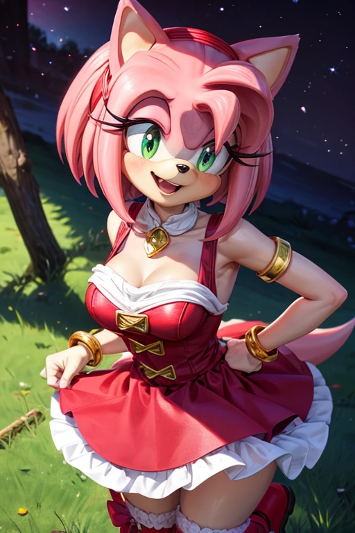 Amy Rose young pink hedgehog with green eyes. It measures 1 meter and weighs approximately 25 kg... She wears a red dress with a white bow on her chest and wears red boots with white details...... She wears a gold bracelet on each wrist and a red diadem on her head...... Her most distinctive feature is her long pink hair that reaches to her waist....., which is often tied in a ponytail.