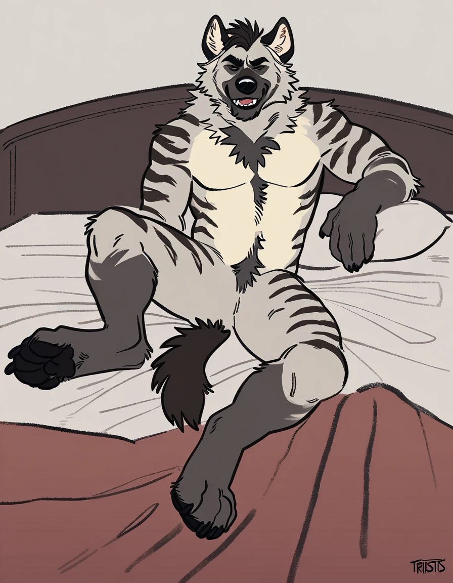 Alone, male, Anthro (striped hyena), by tritscrits, (by botch:0.7), digitigrade, digital artwork, (flat colors:1.3), striped hyena tail, mature male, sexy, ((bed bottom )), athletic, gray fur, looking at camera lying on the bed with sexy face waiting for the viewer invited to stay with him