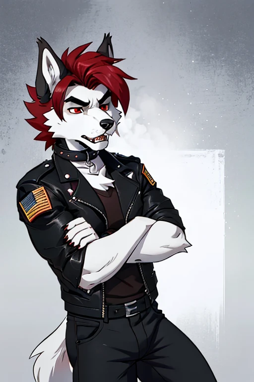 Furry lobo masculino,dark gray and white body fur,beauty,black and red hair color,Eyes red,expression of tiredness,black leather open jacket,Dog Collar,red shirt,black ripped pants,military boots,