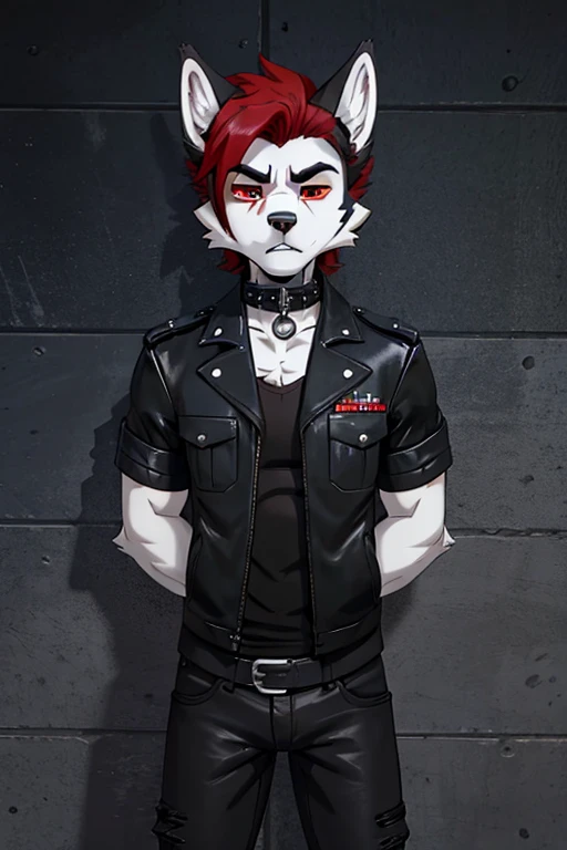 Furry lobo masculino,dark gray and white body fur,beauty,black and red hair color,Eyes red,expression of tiredness,black leather open jacket,Dog Collar,red shirt,black ripped pants,military boots,