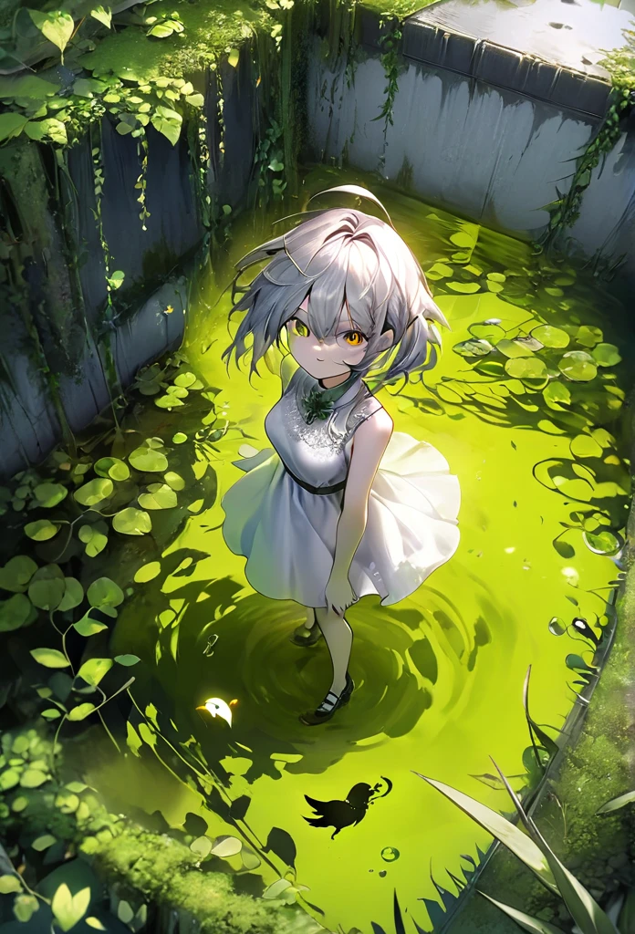 Generate an aerial angle birds eye view image of a beautiful humanoid dragon girl , face of beautiful human detailed scale photo realistic with menacing wings, color red and silver unreal engine standing , getting out from the swamp with floating algae , dynamic pose with a background full of large vines dramatic angle view high coloration 4k resolution but