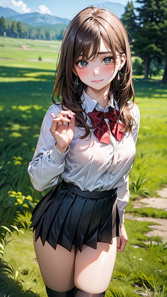 (masterpiece:1.2, top-quality), (realistic, photorealistic:1.4), beautiful illustration, (natural side lighting, movie lighting),
looking at viewer, cowboy shot, front view:0.6, 1 girl, japanese, high school girl, perfect face, cute and symmetrical face, shiny skin,
(long hair:1.8, straight hair:1.7, light brown hair), parted bangs, emerald green eyes, long eye lasher, (large breasts:0.9, thick thighs),
beautiful hair, beautiful face, beautiful detailed eyes, beautiful clavicle, beautiful body, beautiful chest, beautiful thigh, beautiful legs, beautiful fingers,
((, white collared shirts, black pleated mini skirt, black socks, brown loafers, red bow tie)), break, hoop ring earrings, pink panties, dark blue violet cardigan, break,
(beautiful scenery),
In the grass of a meadow, a large dog is on his back, covered by a girl, doing the spaying press.
Her face is bright red and flushed, her brow is furrowed, her mouth is open, and she looks like she is about to cry.
(The skirt is so short.)
(The skirt is very short.)