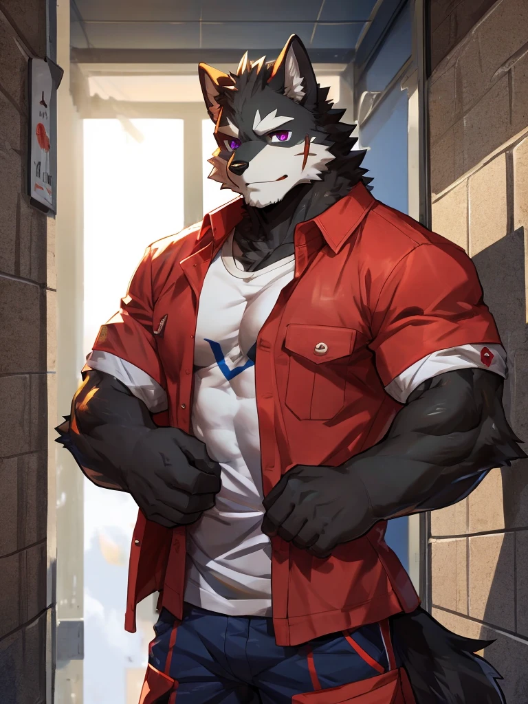 embedding:black wolf, male,purple eyes,Scar on the face, scar on the body,Single person,deliveryman,Standing outside the door,In the corridors,deliveryman shirt,Robust,Contempt,With the express box in his hand,The highest quality of scene detail,adult,Tall and powerful,muscle,Best quality hands, best quality eye,detailed fur,Delicate eyes.Extreme picture quality,by sollyz,by zixiong,by milkytiger1145