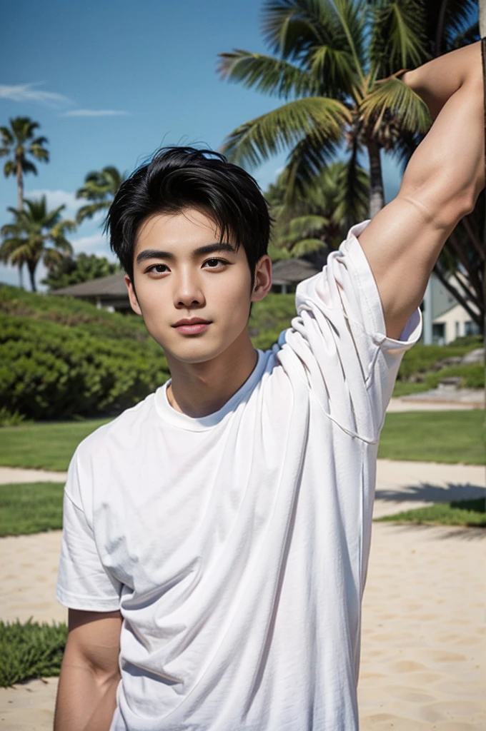 A handsome, muscular young Asian man looks at the camera. In a plain white t-shirt , Fieldside, grass, beach, sunlight
