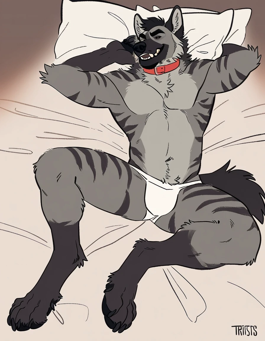 Alone, male, Anthro (striped hyena), by tritscrits, (by botch:0.7), digitigrade, digital artwork, (flat colors:1.3), striped hyena tail, mature male, sexy, ((bed bottom )), athletic, gray fur, looking at camera lying on the bed with sexy face waiting for the viewer invited to stay with him . La hiena usa un collar y una correa sexy para hombres y esta mirando al espectadpr con una cara trabiesa sacando la lengua con el bulto grande