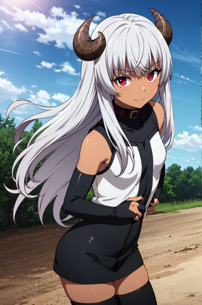 best quality, ultra high res, Felm, 1girl, flat chest, bodysuit, collar, sleeveless, elbow gloves, fingerless gloves, black thighhighs, dark skin, grey hair, long hair, red eyes, curled horns, at plain fields, sunset, lens flare, sweet smile