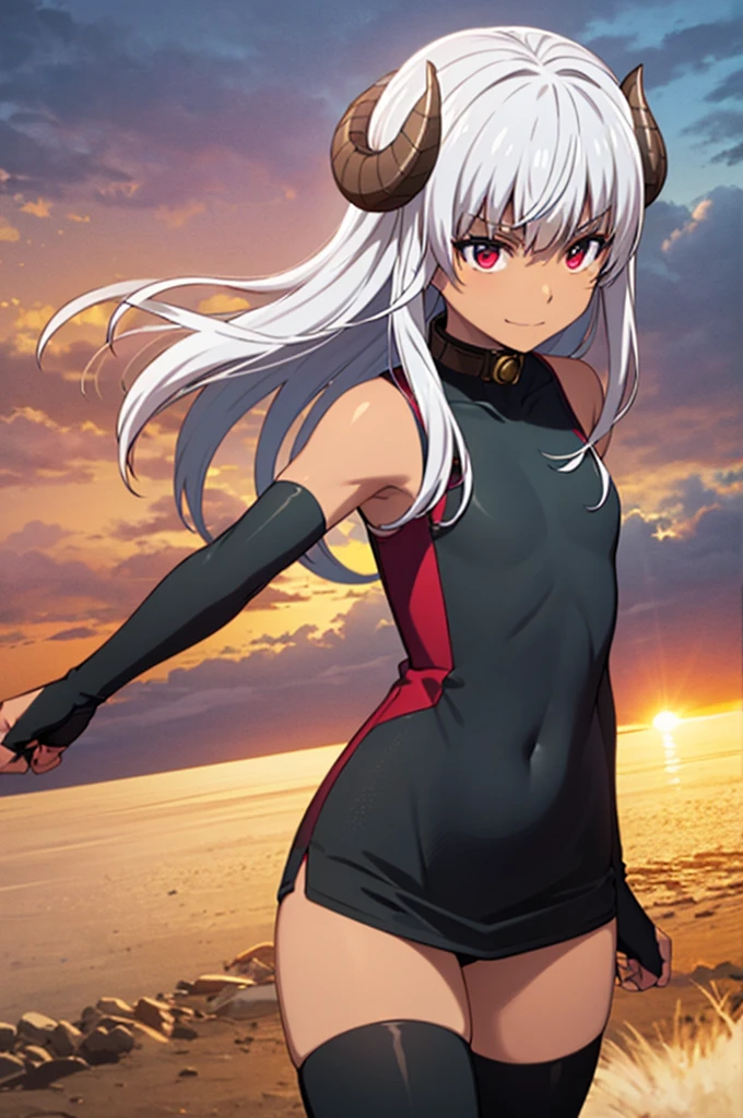 best quality, ultra high res, Felm, 1girl, flat chest, bodysuit, collar, sleeveless, elbow gloves, fingerless gloves, black thighhighs, dark skin, grey hair, long hair, red eyes, curled horns, at plain fields, sunset, lens flare, sweet smile