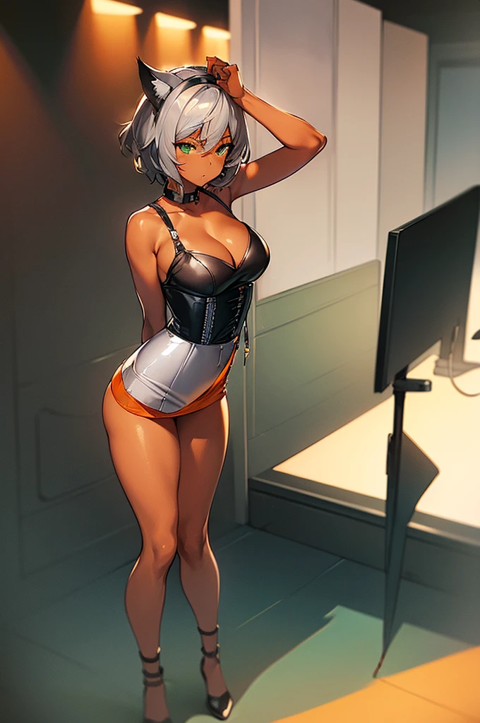 (masterpiece, best quality:1.2), illustration, dark skin, a lady with silver cat ears, full body, silver wave short hair, grab a microphone, green eyes, gray camisole, gray tight leather skirt, ((orange corset)), no background,