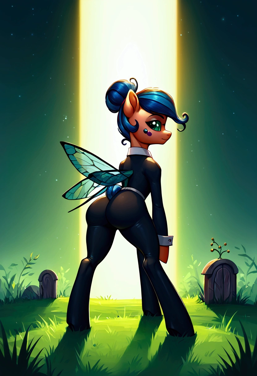 score_9,score_8_up,score_7_up,score_6_up, ((my little pony)), radiant lighting, vibrant colors, whimsical atmosphere, 8K, high resolution, highly detailed, masterpiece, (stern look), big butt, on the tombstone, ((pony body)), (((Marinette Dupain-Cheng from Lady Bug:1.1))), (((lady bug costume))), (((lady bug))), (((Marinette)))