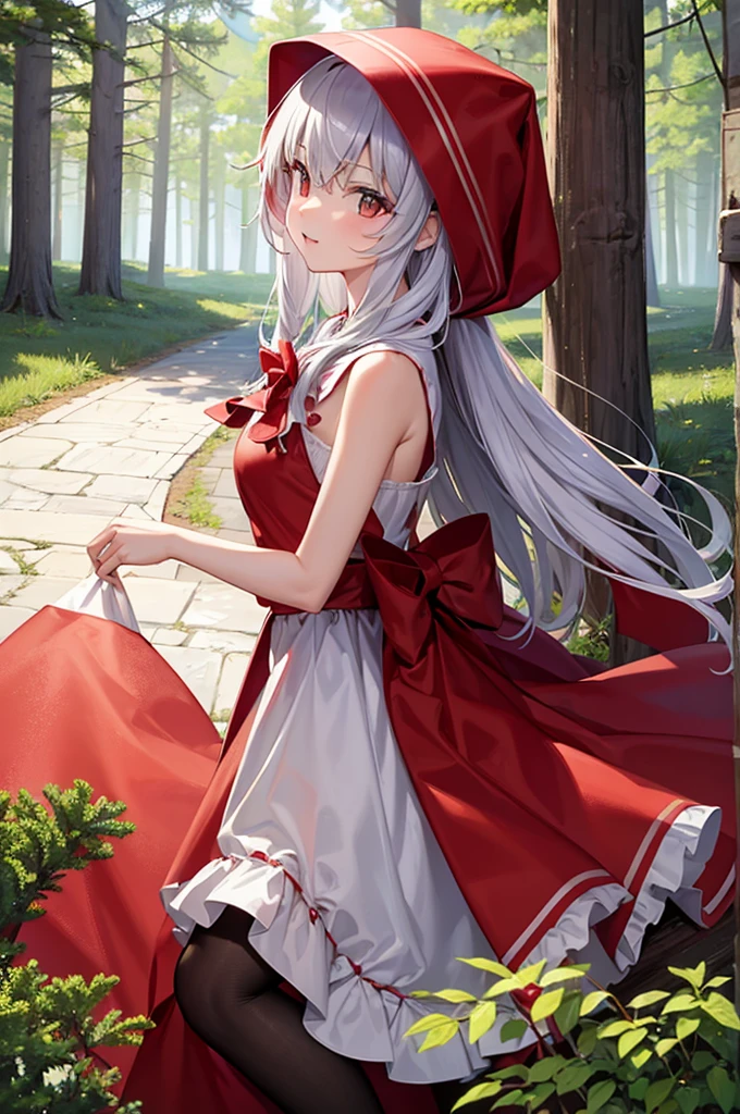 Little Red Riding Hood in a pine forest
