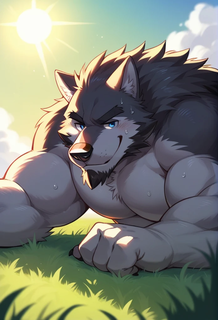 NJ5furry, wolf,solitary,solo, Beast field,chubby, Thick arms,Strong muscles,naked,Plush,Chubby face,Black eyebrows,Sky blue eyes,beard,smirk:1.1,lying on the grass,on stomach, (from below:1.1),Lie down,(erection, medium size penis),Sunlight,(sweat),by zixiong, Takemoto Arashi