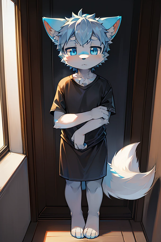 Normal scenario (Furry light blue fox boy), Standing,Facing the camera, ((Melancholy, Detailed face, Clear big eyes,blue eyes,Meticulous attention to detail)), Natural and soft lighting, 8K, SF Express, Autumn Light , peaceful , (Fluffy Paws), Front view,Wearing a shirt