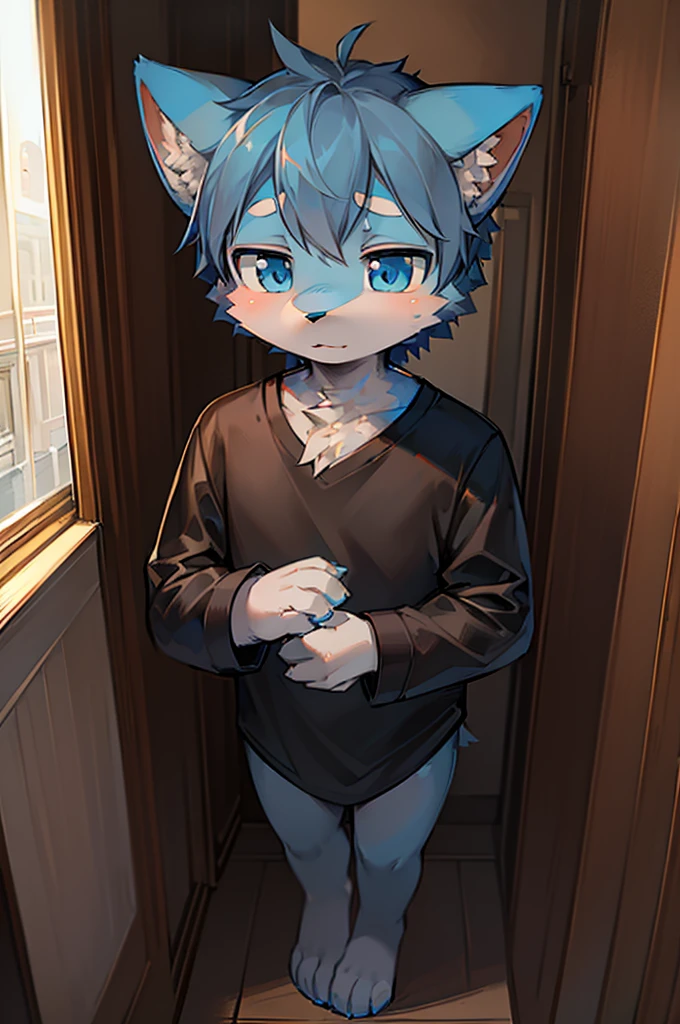 Normal scenario (Furry light blue fox boy), Standing,Facing the camera, ((Melancholy, Detailed face, Clear big eyes,blue eyes,Meticulous attention to detail)), Natural and soft lighting, 8K, SF Express, Autumn Light , peaceful , (Fluffy Paws), Front view,Wearing a shirt