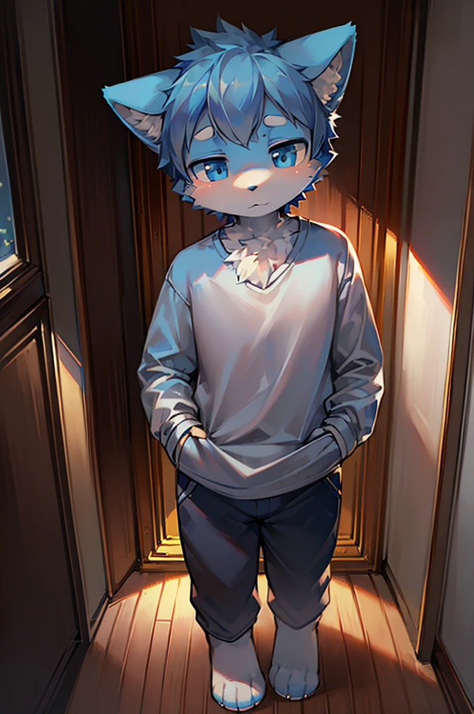 Normal scenario (Furry light blue fox boy), Standing,Facing the camera, ((Melancholy, Detailed face, Clear big eyes,blue eyes,Meticulous attention to detail)), Natural and soft lighting, 8K, SF Express, Autumn Light , peaceful , (Fluffy Paws), Front view,Wearing a shirt
