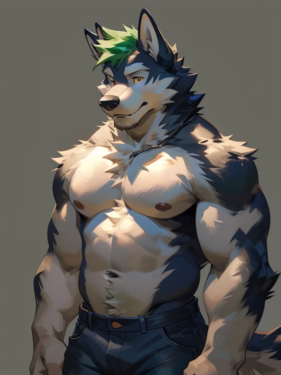 Solo, male, Husky Wolf, with black and cream-colored fur, with short bluish-green hair, with bluish-green beard, bluish-green chest fur, amber eyes, with long ears, shirtless, in jeans, chest, big chest view, ((focus body, furry focus, focus shadows, body shadows)) (((gray background, gray wallpaper), one color))), by darkgem, by mystikfox61, by glitter trap boy