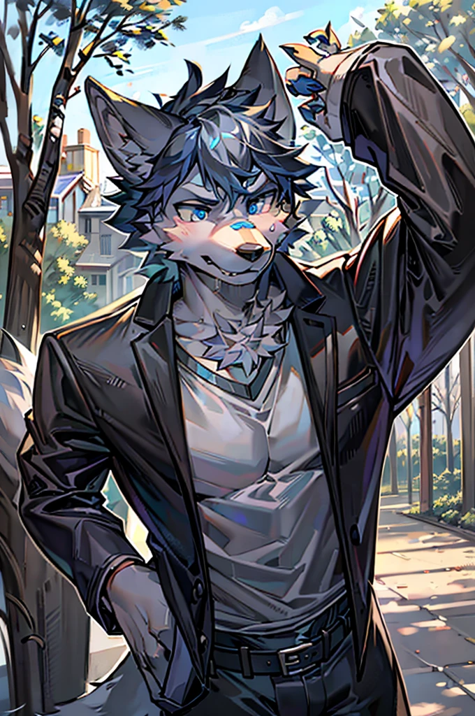 Masterpiece, Solo, Furry Gray Wolf, Gray Fur, Blue Eyes, Gray Short Hair, Medium Muscular Body, Handsome, Good Looking, Casual Shirt, Fierce, Cool Pose, Park Background.