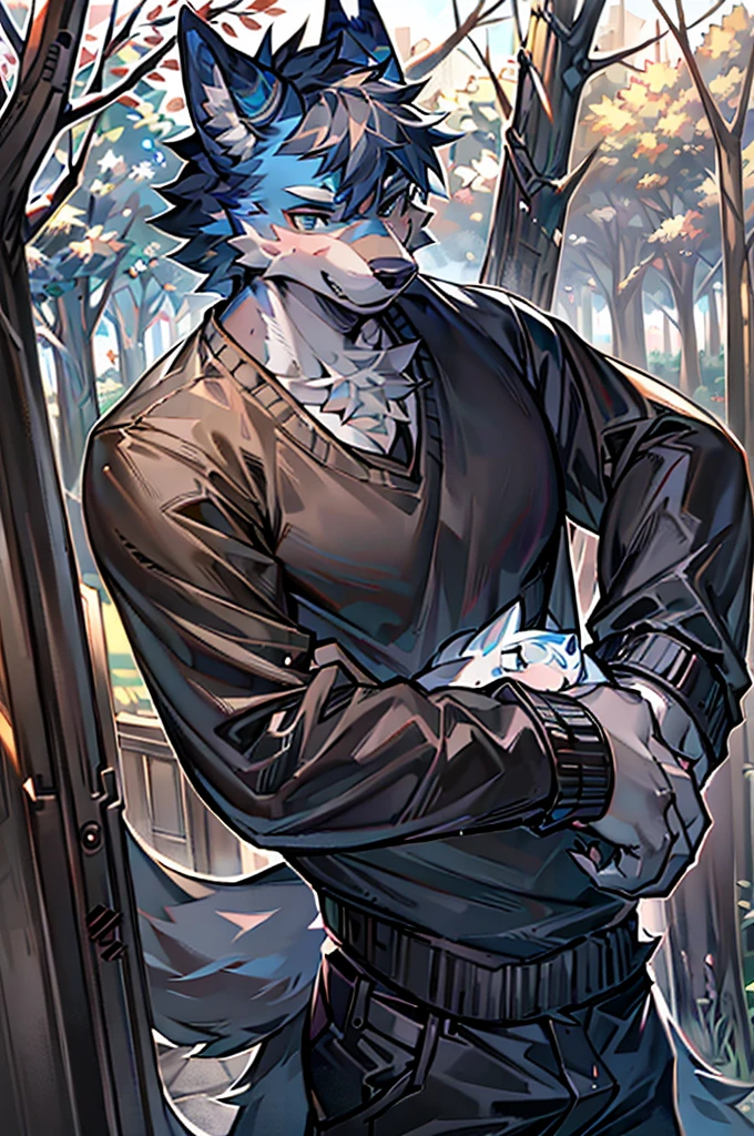 Masterpiece, Solo, Furry Gray Wolf, Gray Fur, Blue Eyes, Gray Short Hair, Medium Muscular Body, Handsome, Good Looking, Casual Shirt, Fierce, Cool Pose, Park Background.