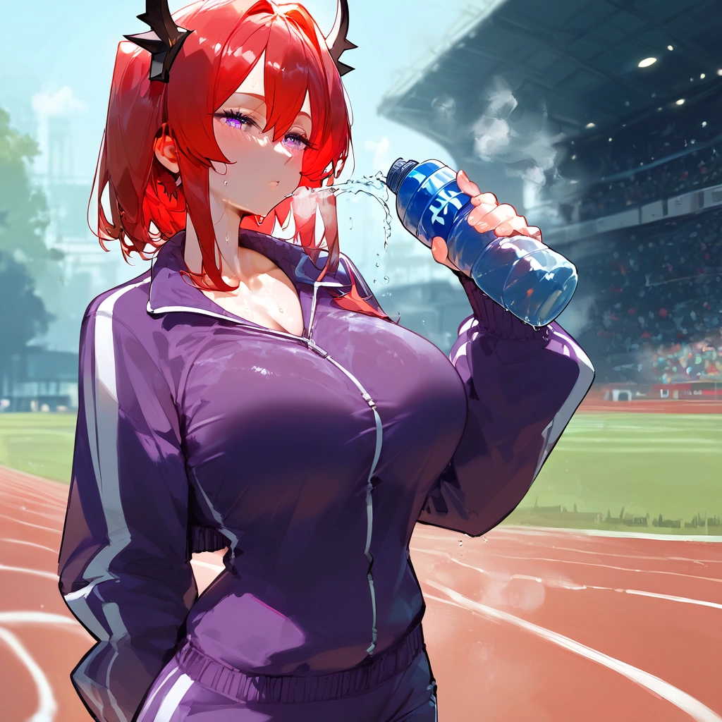 score_9, score_8_up, score_7_up, score_6_up,floox style,surtr, arknights, red hair,big breasts,,collarbone, jacket,purple jacket, purple track suit, sportswear, standing, steam, steaming body, sweat,, track jacket, track pants, track suit, outdoors, pours water on face, water bottle, solo