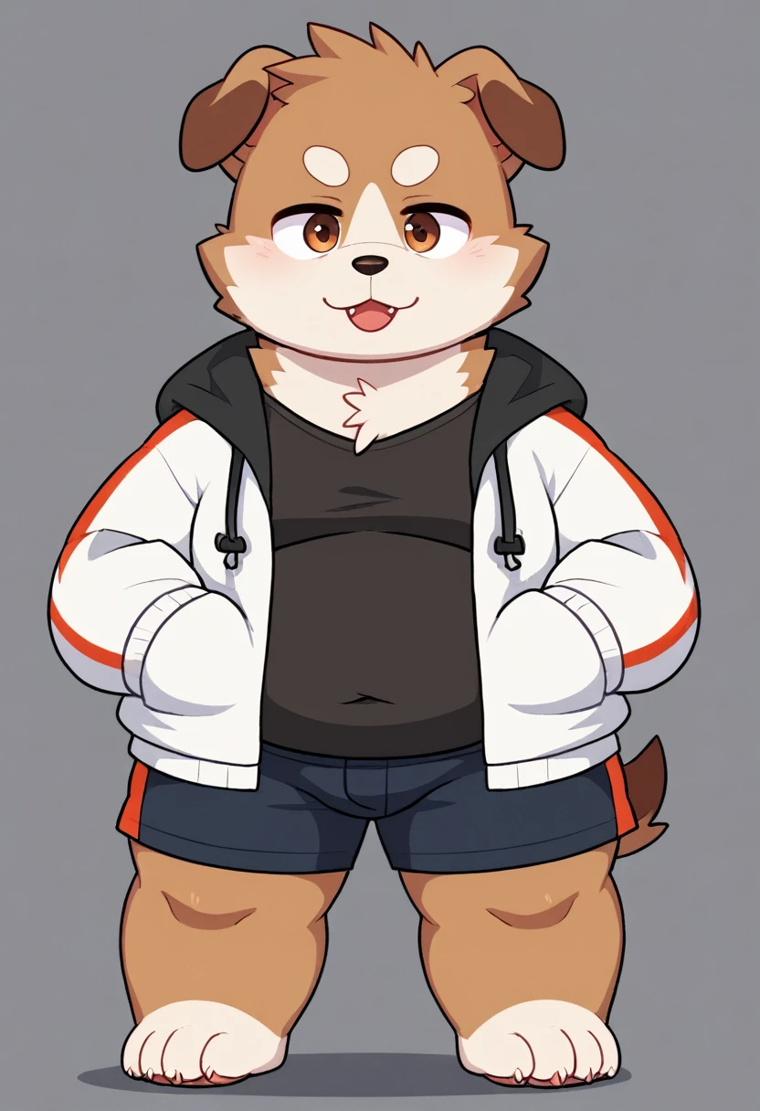 A man slightly chubby, shaped like a white dog brown ears , he Wear  a loose jacket and a pair of knee-length shorts full body Wear a t-shirt under a loose jacket