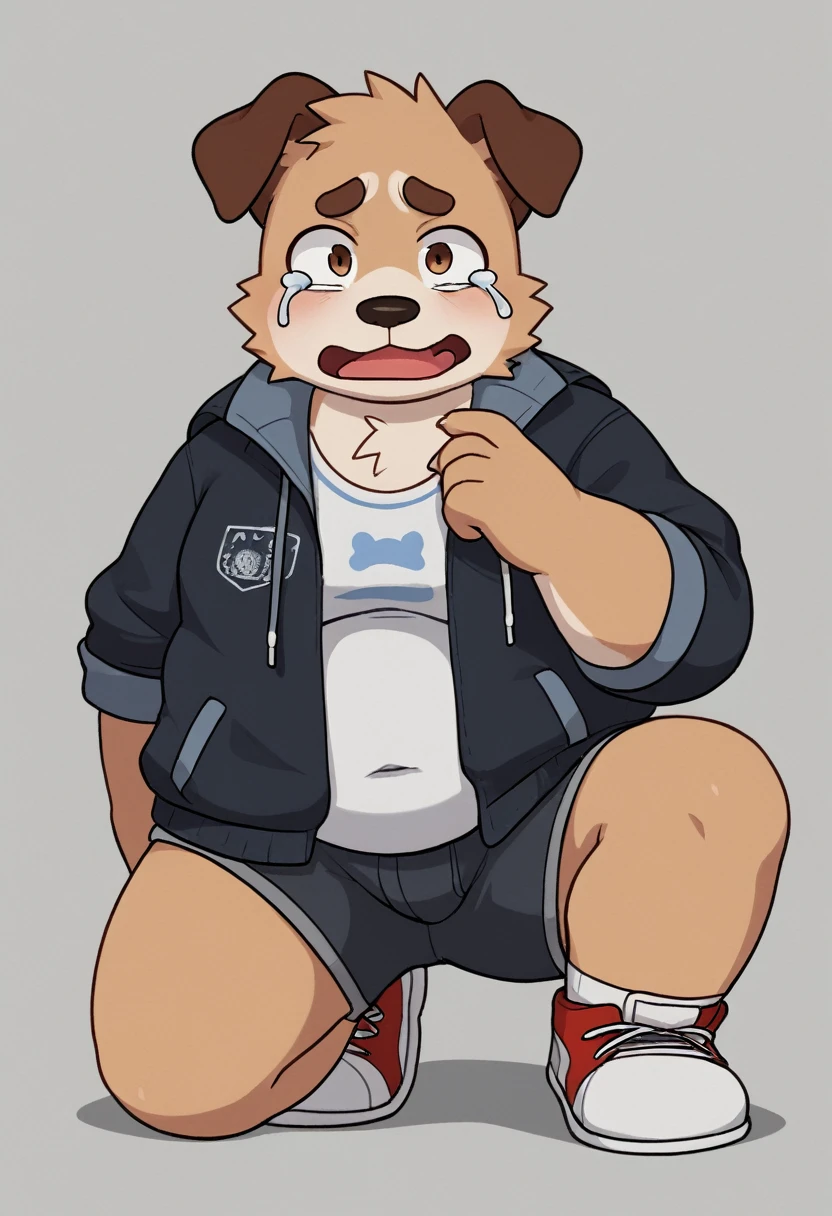 A man slightly chubby, shaped like a white dog brown ears , he Wear  a loose jacket and a pair of knee-length shorts full body Wear a t-shirt under a loose jacket , Desperate and crying face