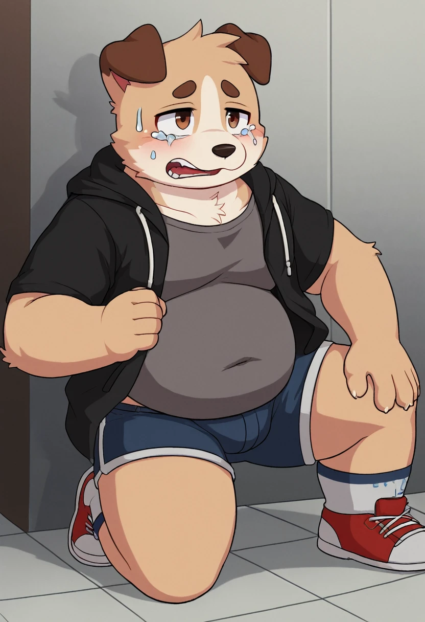 A man slightly chubby, shaped like a white dog brown ears , he Wear  a loose jacket and a pair of knee-length shorts full body Wear a t-shirt under a loose jacket , Desperate and crying face