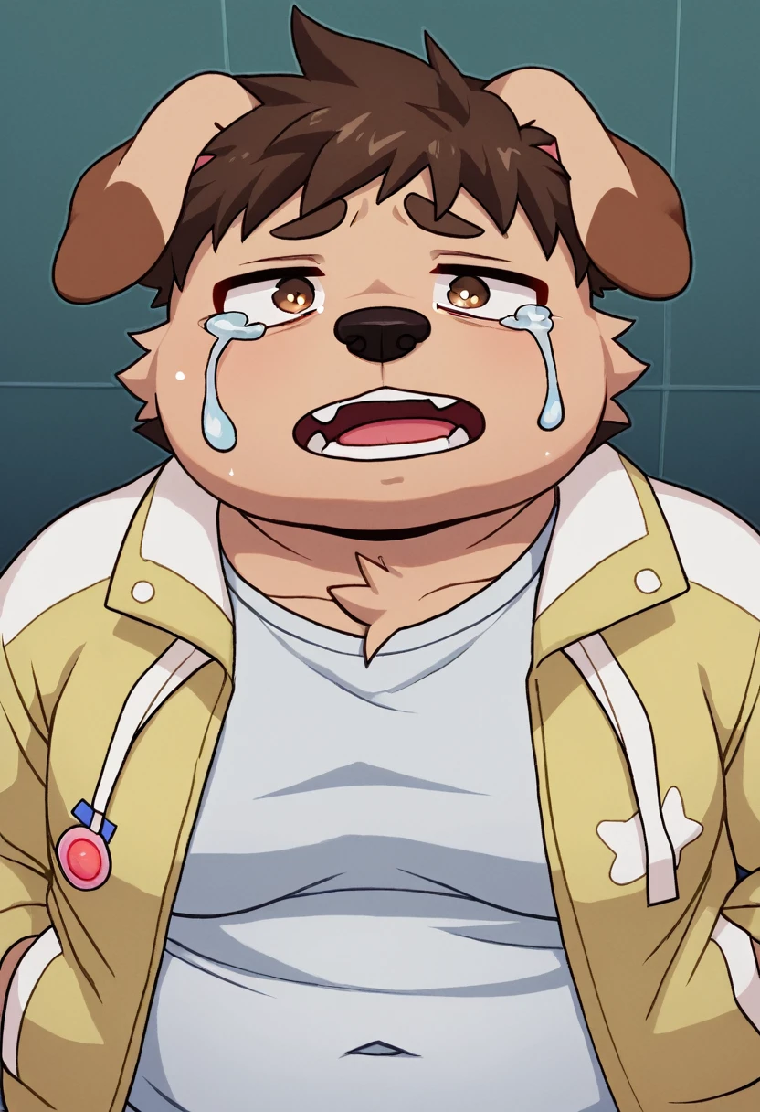 A man slightly chubby, shaped like a white dog brown ears , he Wear  a loose jacket and  Wear a t-shirt under a loose jacket , Desperate and crying face