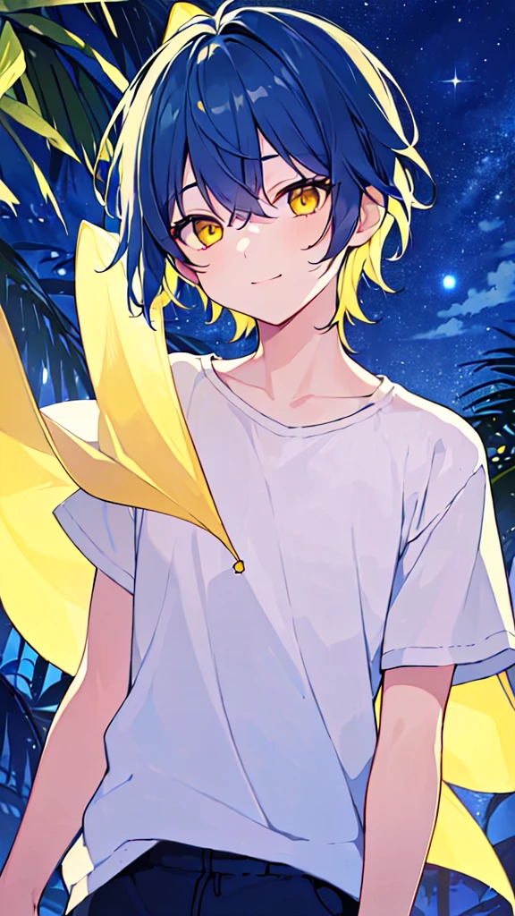 [(SUMMER BACKGROUND:1.5),::5], ((((masterpiece)))), high quality, very_high_resolution, large_filesize, upper body, full color, ((Solo)), ((little boy)), 13 old year, men's short deepblue hair, vivid color, ((yellow eye)), Summer clothes white, animestyle, light smile, ((Night))