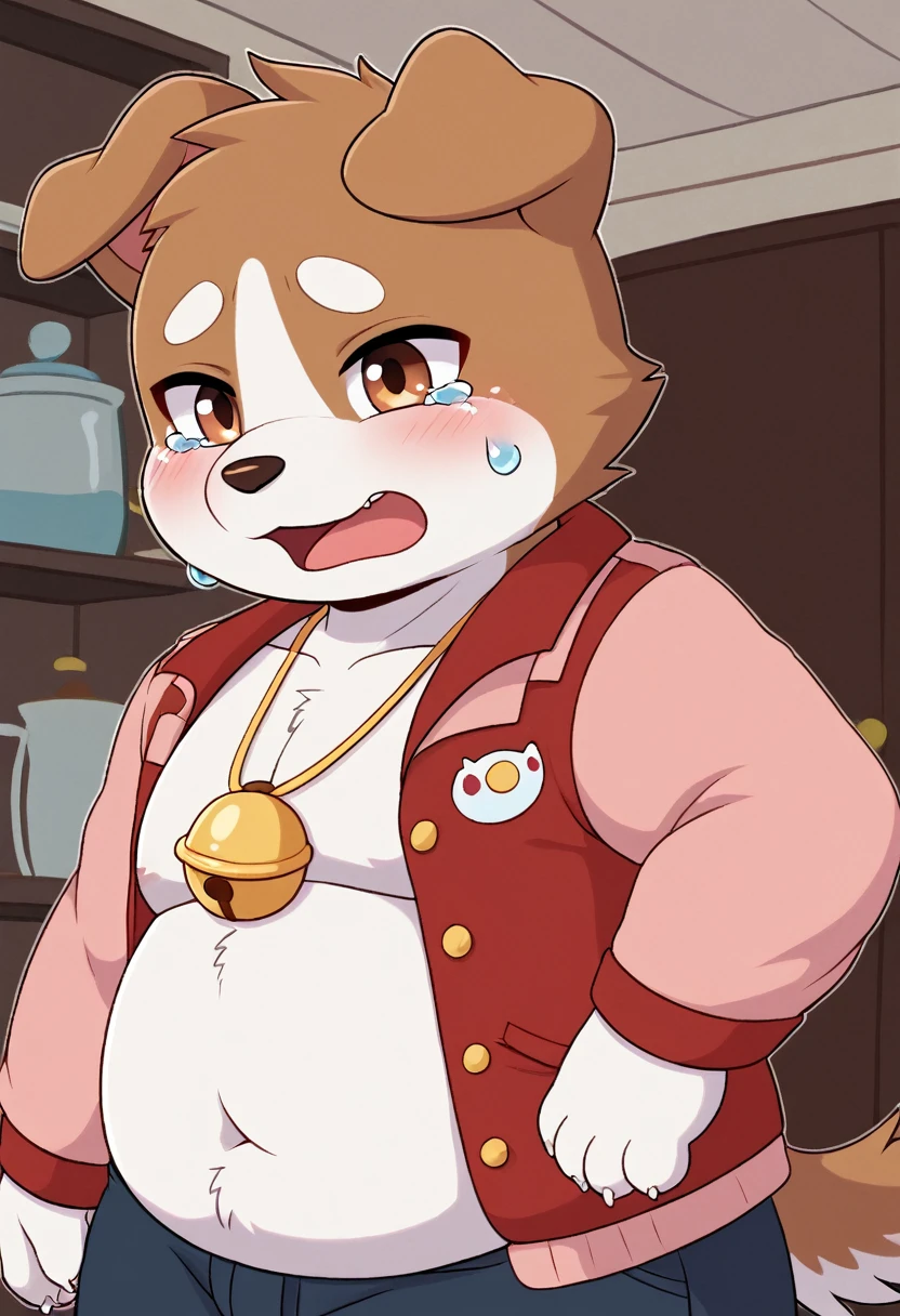 A man slightly chubby, shaped like a white dog brown ears , he Wear  a loose jacket and  Wear a necklace with bell  , sat crying in the corner of the room 