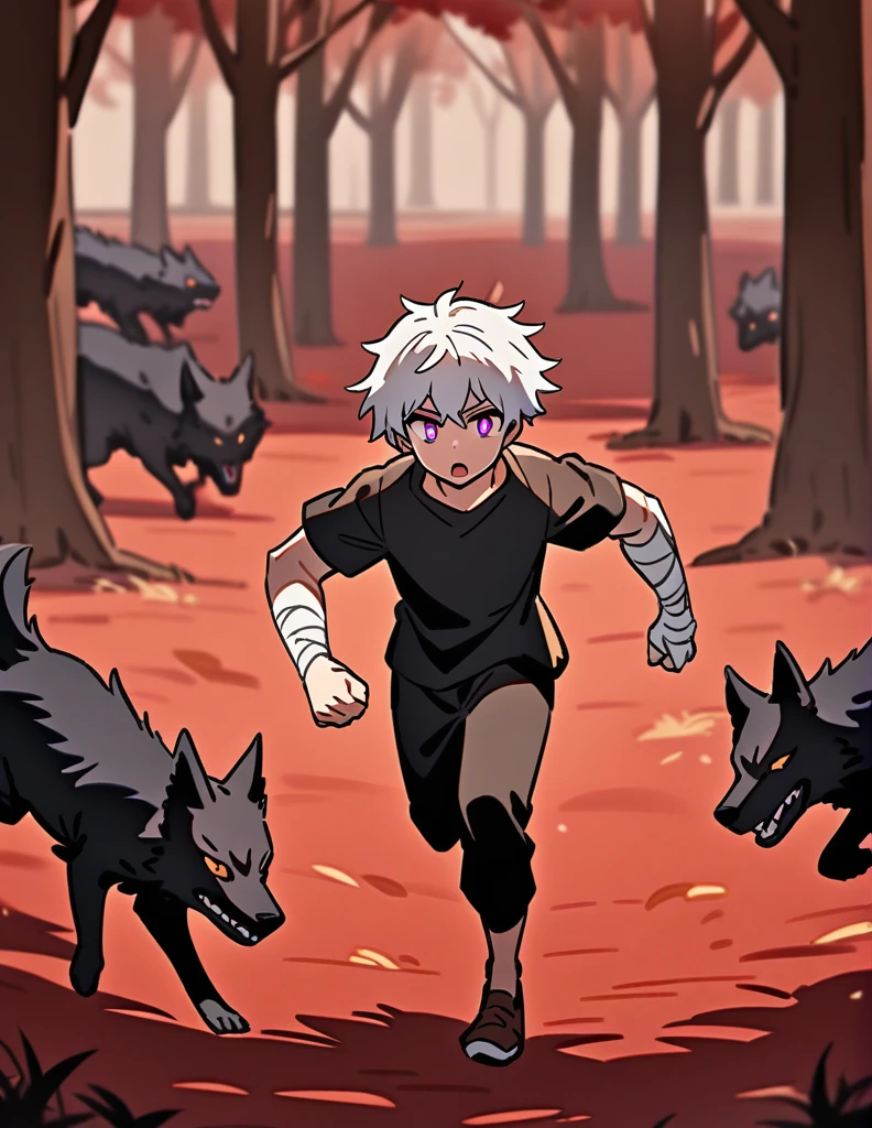  Greek boy with white hair, violet eyes, wearing a black shirt, with his arms covered in bandages, running from some black wolves, with a red forest of dry trees in the background